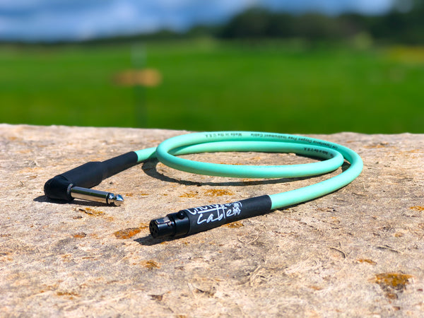 Line 6 Relay G50 G55 G90 Wireless Upgrade
